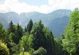 Blick auf das Lattengebirge